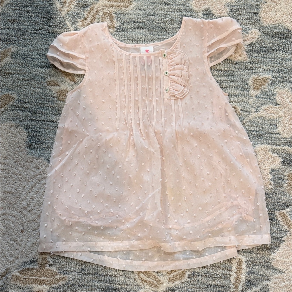 Pink Sheer Baby Dress with Ruffle Detail